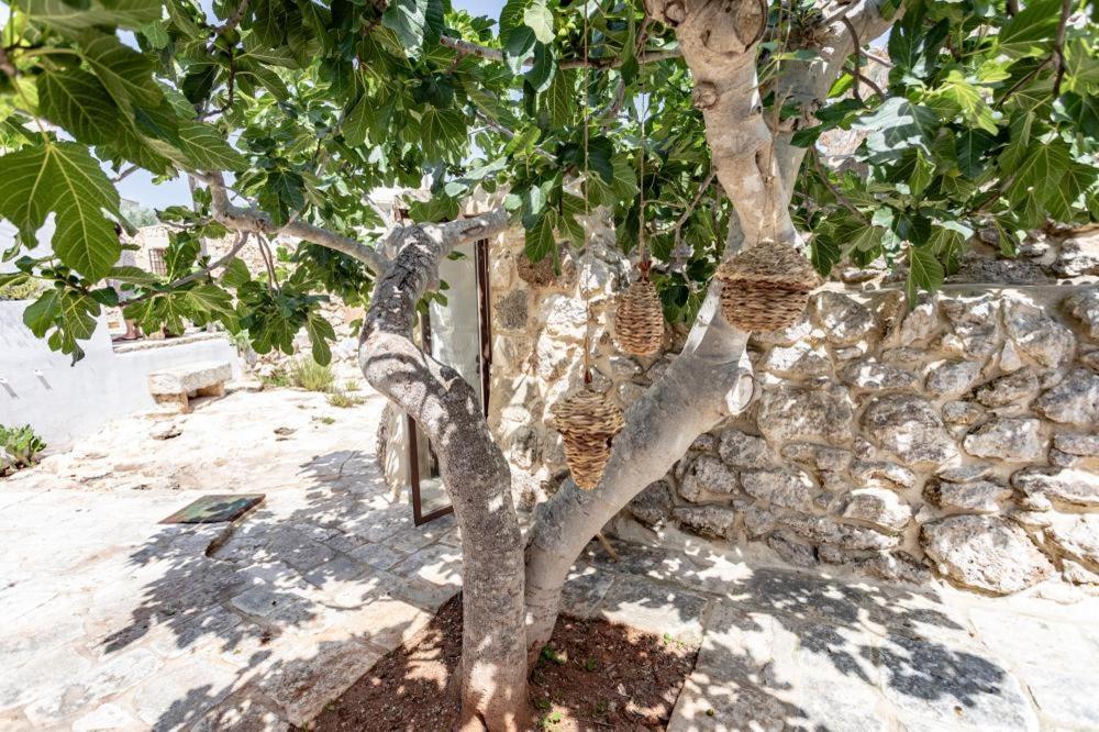 Bed and Breakfast Trullo Santovia Сант'Ізідоро Екстер'єр фото